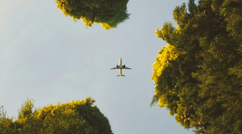 Cost pressures and fragmented carbon data hinders green travel