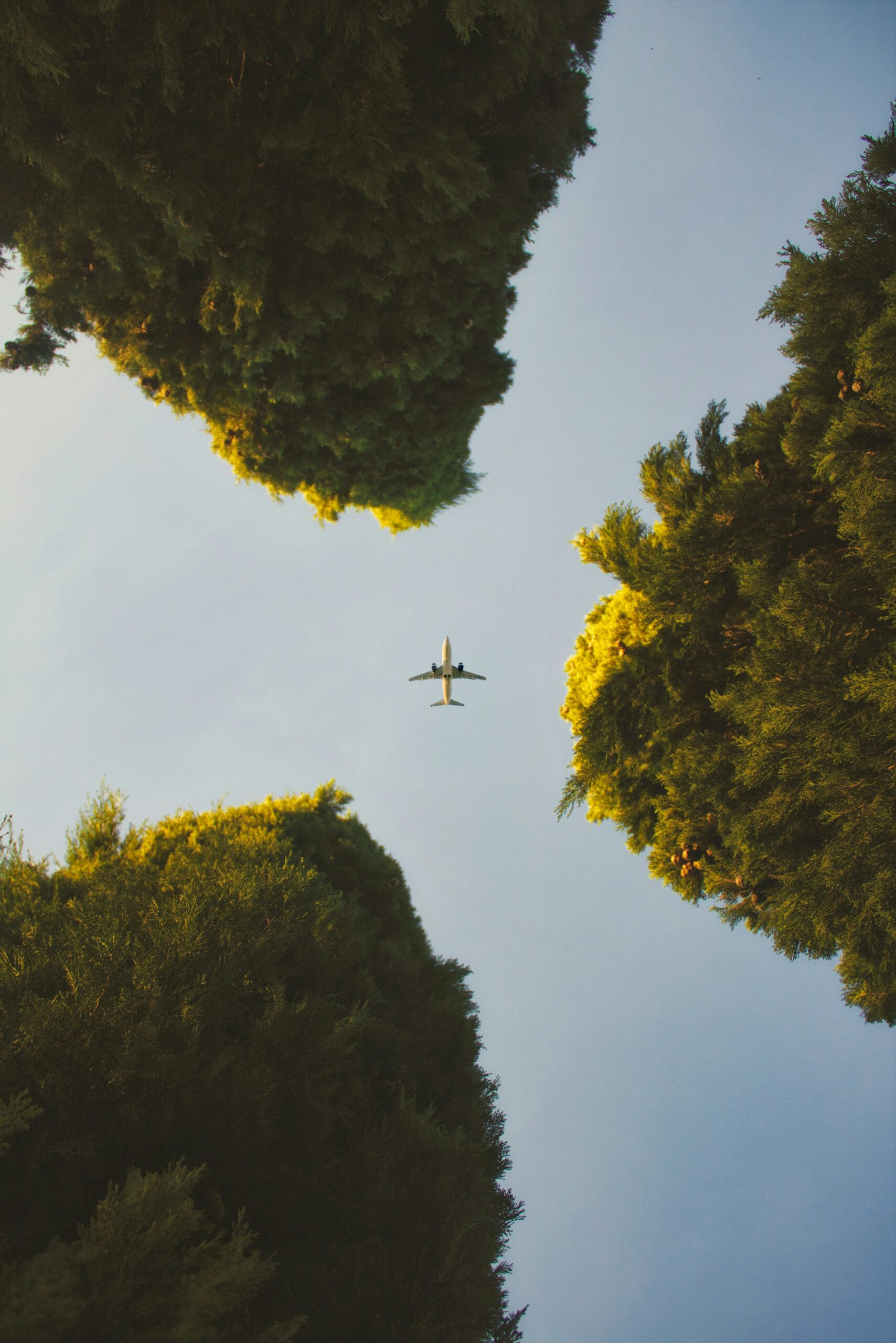 Cost pressures and fragmented carbon data hinders green travel